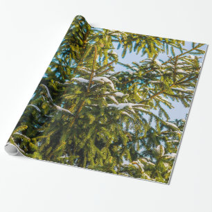 Green Christmas Tree In Snow Wrapping Paper