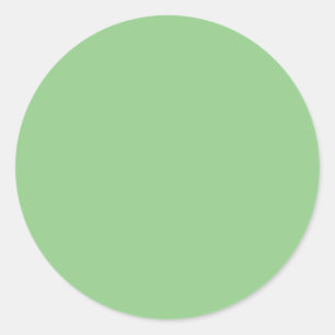 Green Circle Sticker Bold Minimal Accent
