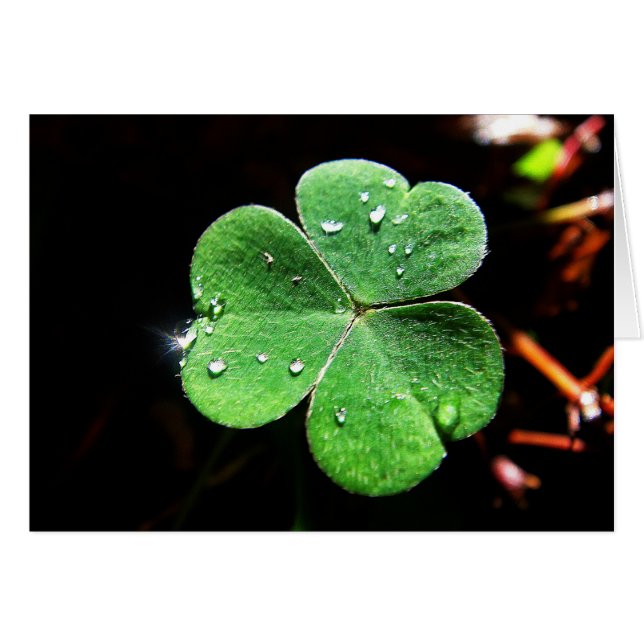 green clover card with light star (Front Horizontal)