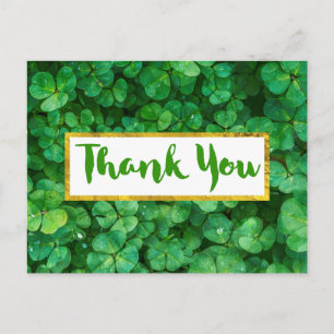 Green Clover Leaves Background Thank You Postcard
