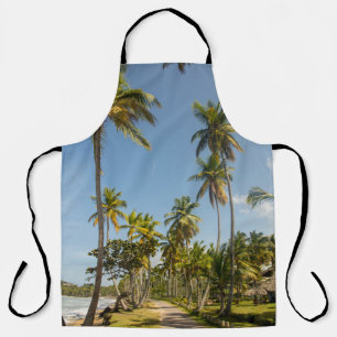 Green coconut palm tree near green grass field in apron