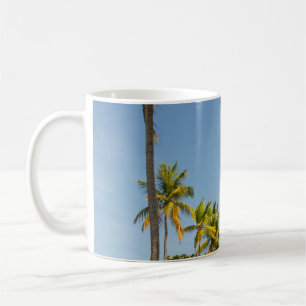 Green coconut palm tree near green grass field in coffee mug