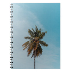 Green coconut tree under blue sky notebook