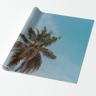 Green coconut tree under blue sky wrapping paper