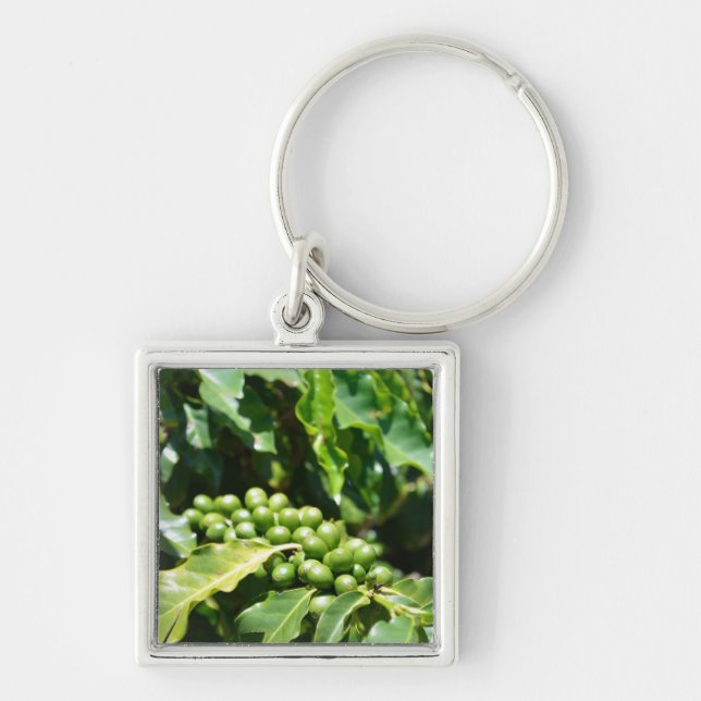 Green Coffee Berries Key Chain (Front)