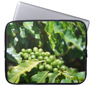 Green Coffee Berries Laptop Sleeve