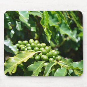 Green Coffee Berries Mouse Pad