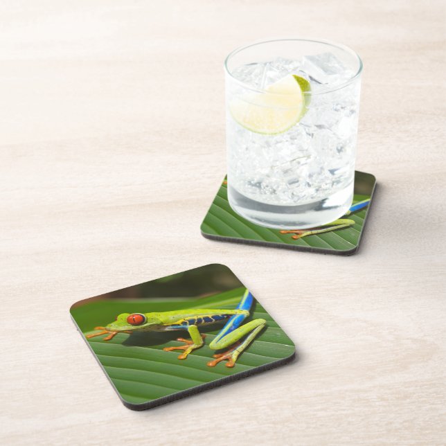 Green Colourful Jungle Tree Frog Coaster (Right Side)