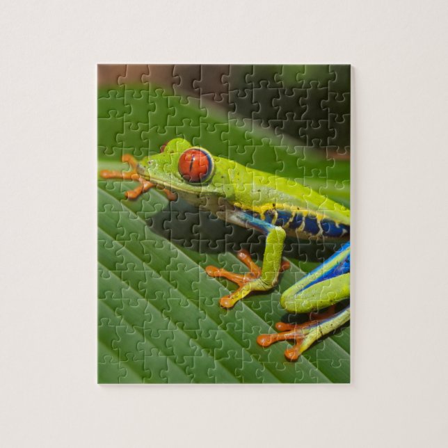 Green Colourful Jungle Tree Frog Jigsaw Puzzle (Vertical)