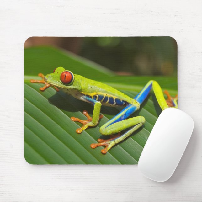 Green Colourful Jungle Tree Frog Mouse Pad (With Mouse)