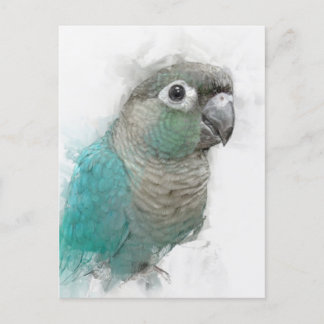 Green Conure Postcard No.3