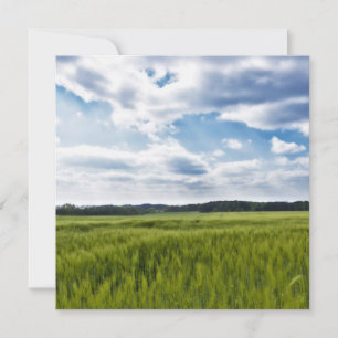 Green Cornfields and Blue Skies Card