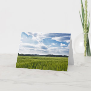 Green Cornfields and Blue Skies Card