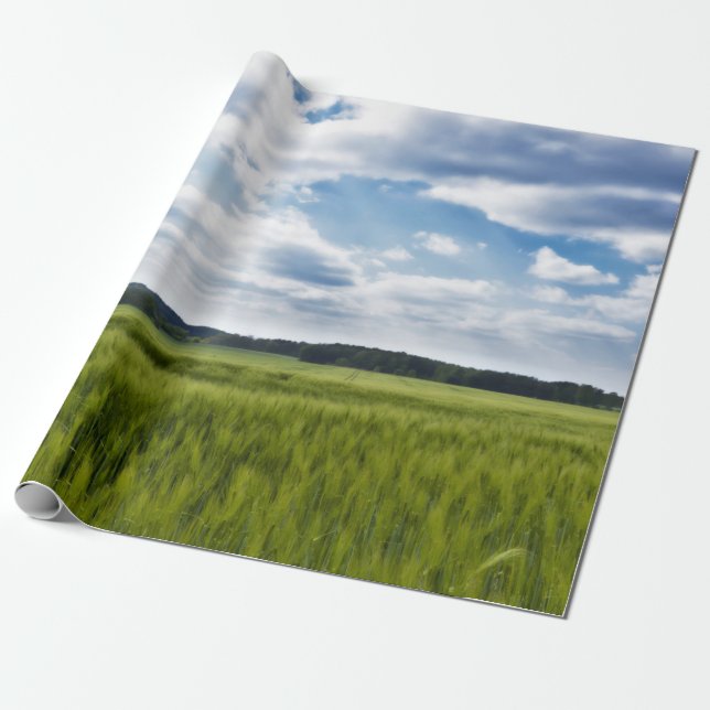 Green Cornfields and Blue Skies Wrapping Paper (Unrolled)