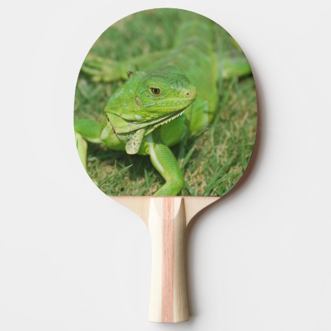Green Creeping Lizard Ping Pong Paddle (Front)