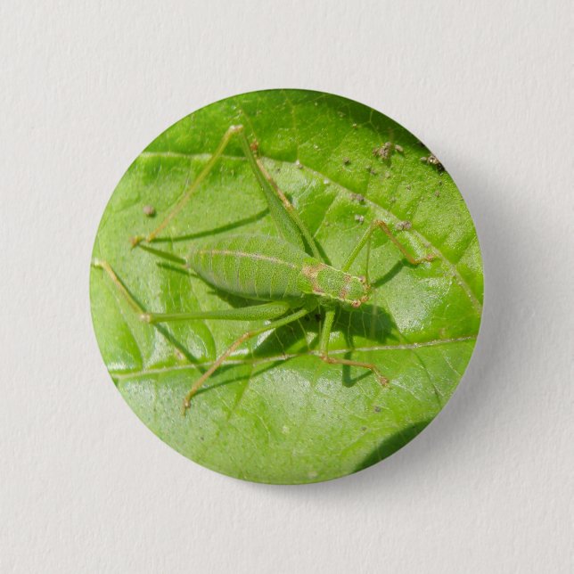 Green Cricket Camouflage Button (Front)