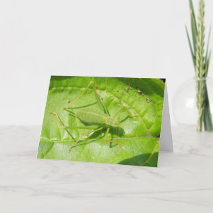 Green Cricket Camouflage Greeting Card