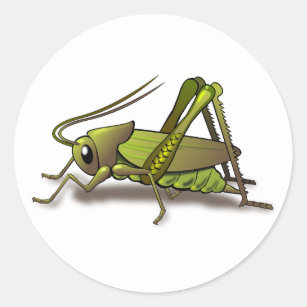Green Cricket Insect Classic Round Sticker