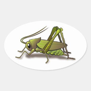 Green Cricket Insect Oval Sticker