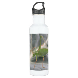 Green Cricket Macro 710 Ml Water Bottle