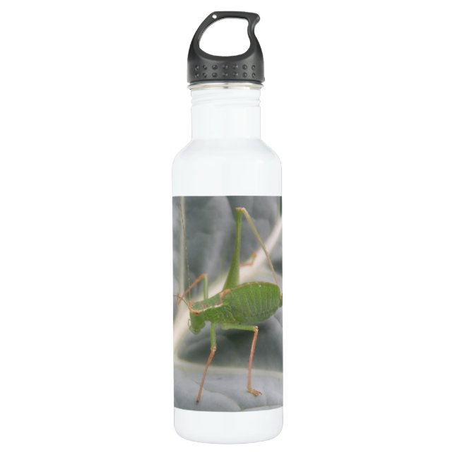 Green Cricket Macro 710 Ml Water Bottle (Front)