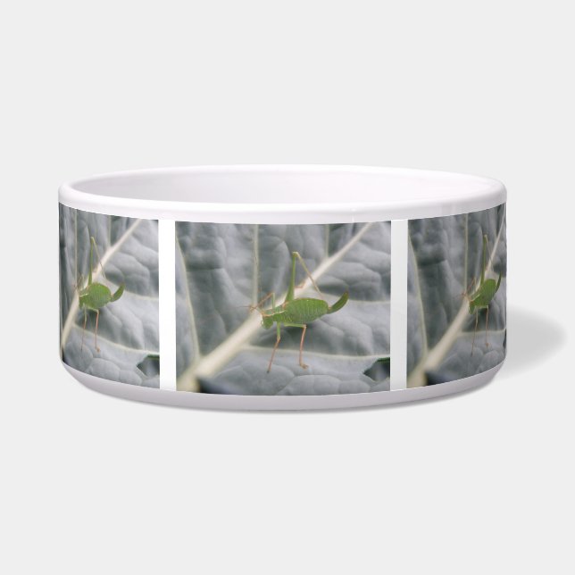 Green Cricket Macro Dog Bowl (Front)