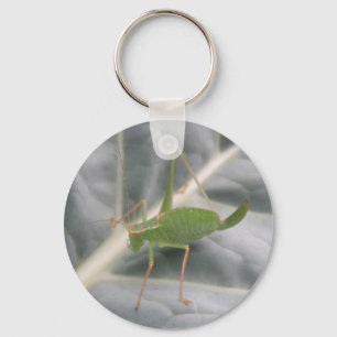 Green Cricket Macro Keychain
