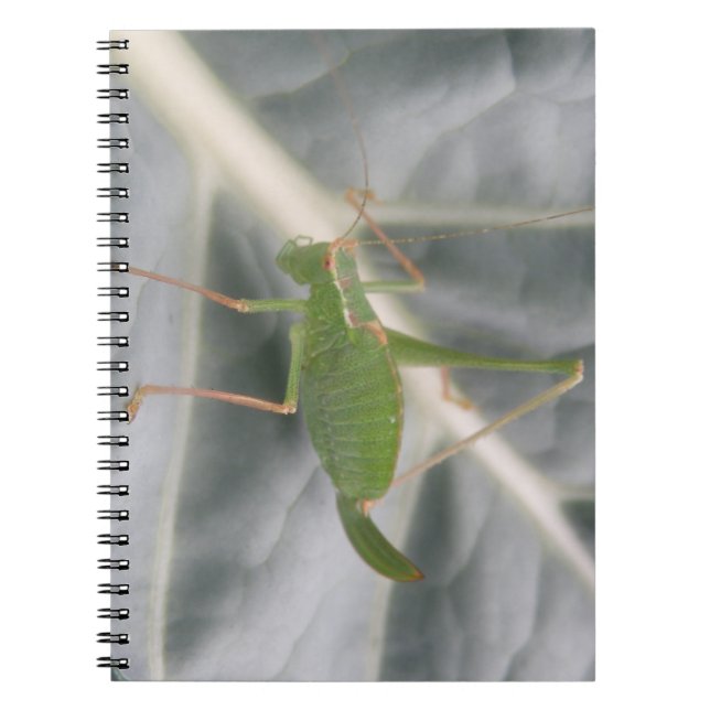 Green Cricket Macro Notebook (Front)