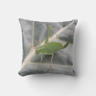 Green Cricket Macro Pillow