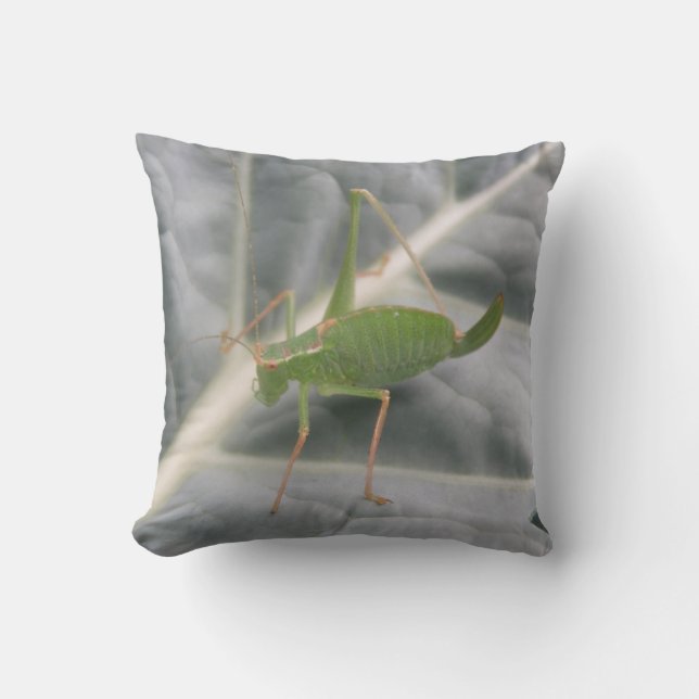Green Cricket Macro Pillow (Front)