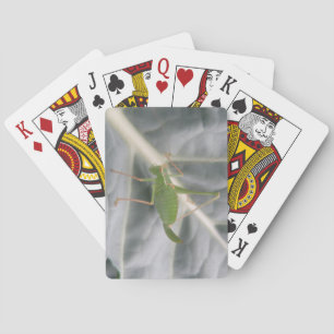 Green Cricket Macro Playing Cards
