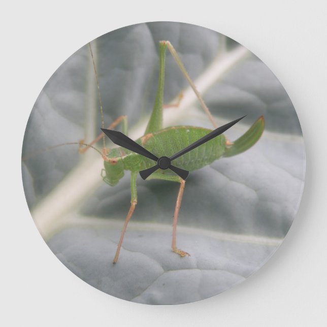 Green Cricket Macro Wall Clock (Front)