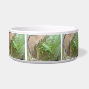 Green Cricket on a Leaf Dog Bowl