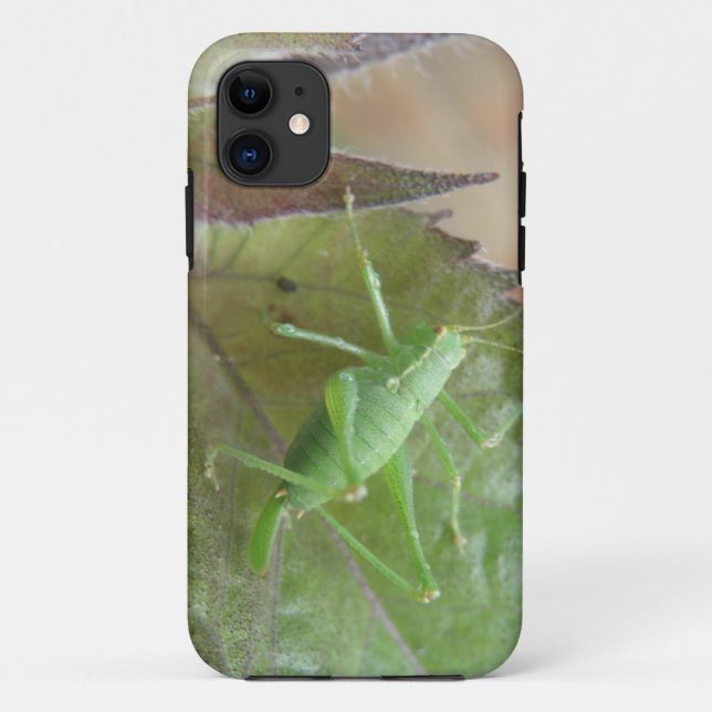 Green Cricket on a Leaf iPhone 5 Case (Back)