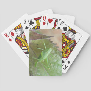 Green Cricket on a Leaf Playing Cards