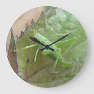 Green Cricket on a Leaf Wall Clock