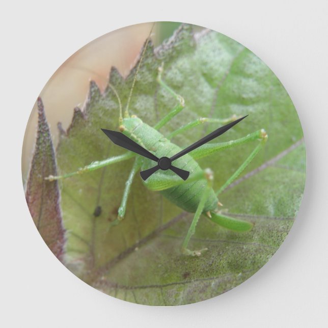 Green Cricket on a Leaf Wall Clock (Front)