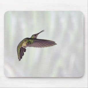 Green-crowned Brilliant Heliodoxa jacula female Mouse Pad