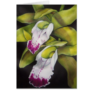 Green Cymbidium Orchid