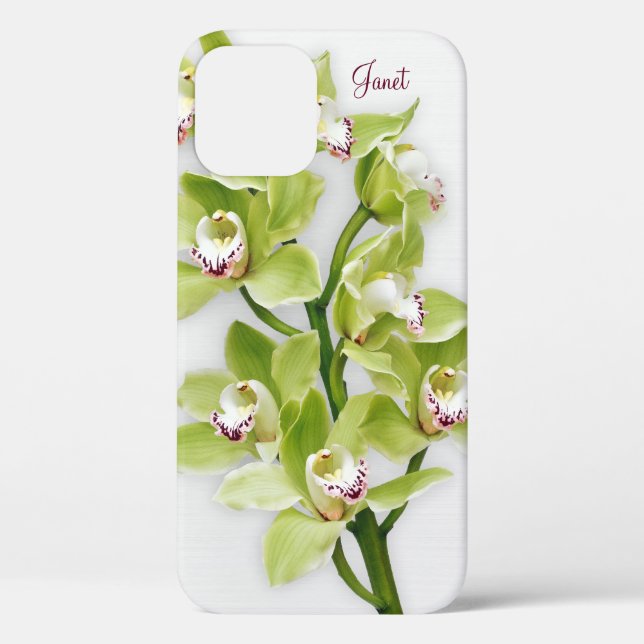 Green Cymbidium Orchid Floral iPhone 6 case (Back)