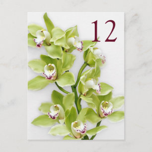 Green Cymbidium Orchid Floral Wedding Table Cards