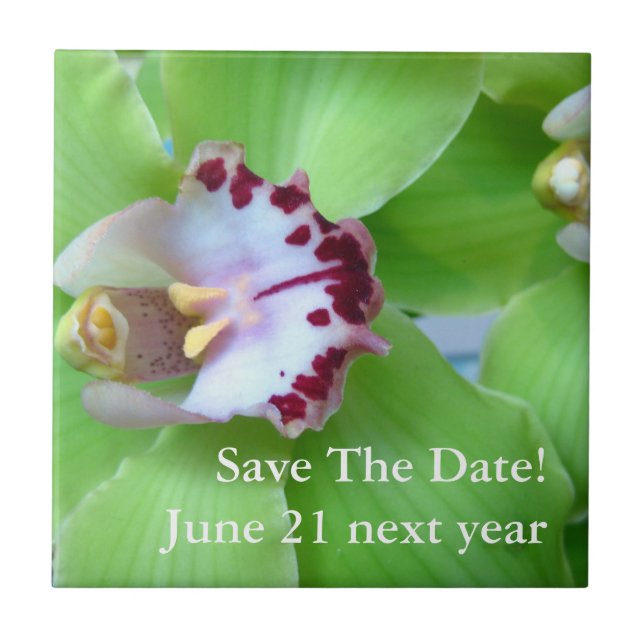 Green Cymbidium Orchid Tile (Front)