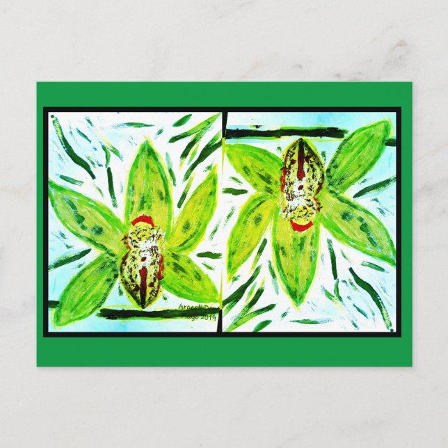 Green Cymbidium Orchids Postcard (Front)