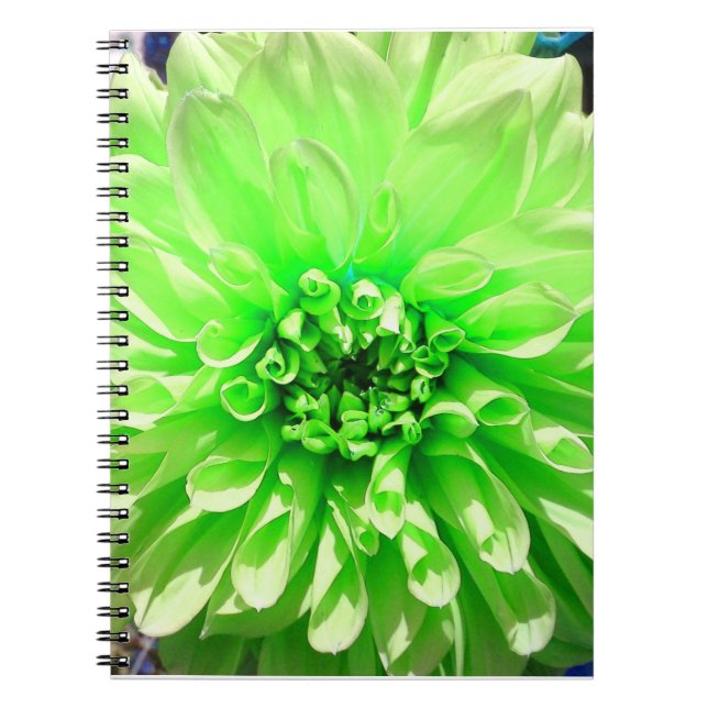 Green Dahlia Flower Notebook (Front)
