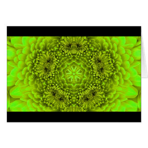 GREEN  DAHLIA FLOWER PETALS