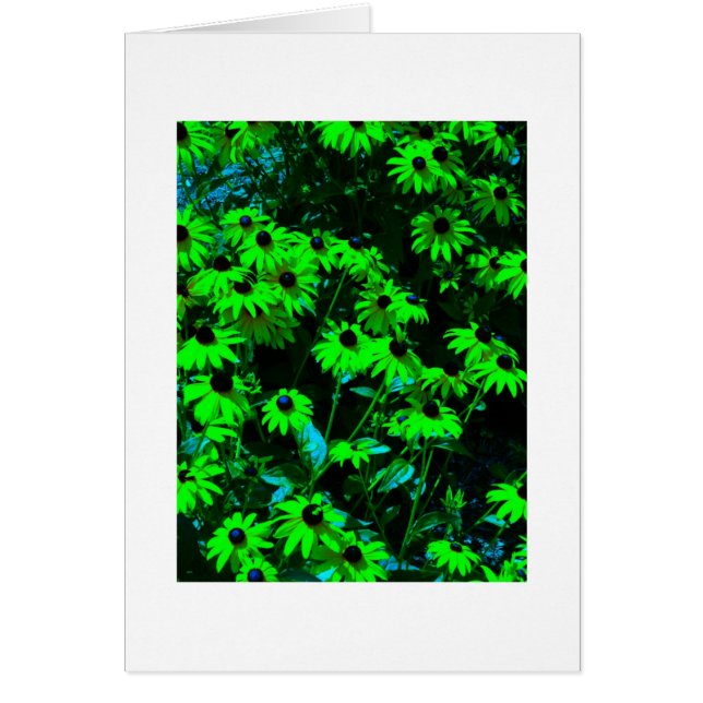 Green Daisies (Front)