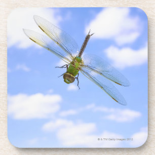 Green darner (Anax junius) flying against clouds Coaster
