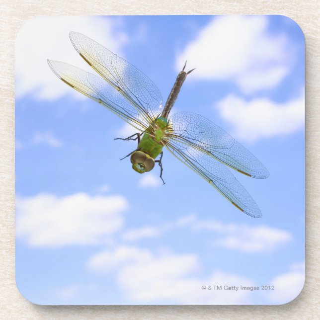 Green darner (Anax junius) flying against clouds Coaster (Front)