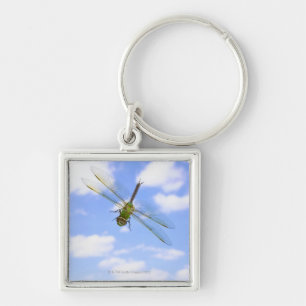 Green darner (Anax junius) flying against clouds Key Ring