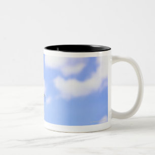Green darner (Anax junius) flying against Two-Tone Coffee Mug